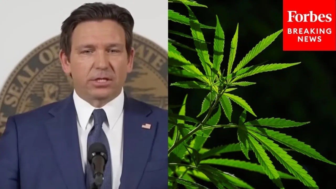 Desantis responds to trumps reclassification of medical marijuana.jpg