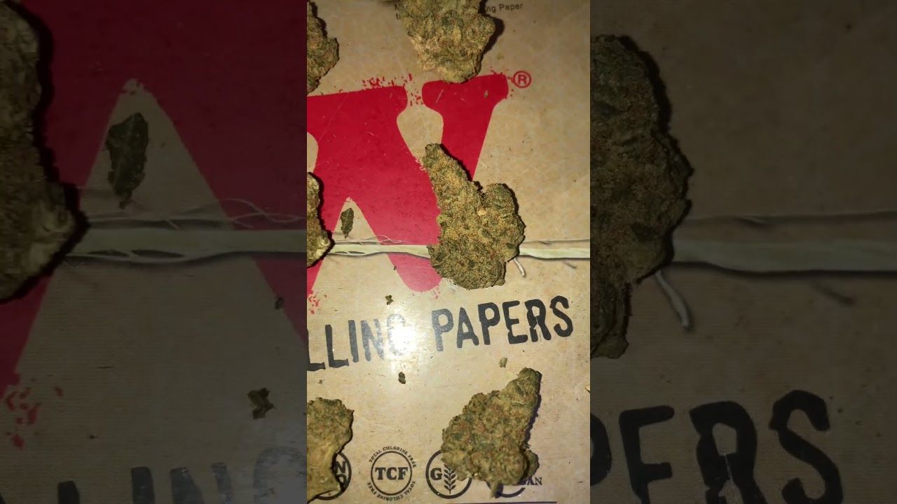 Atomic sour grapefruit uk medical cannabis patient flower.jpg