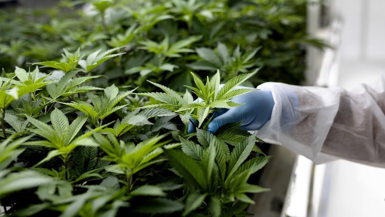 Georgia patients hopeful about recent medical marijuana changes.jpg