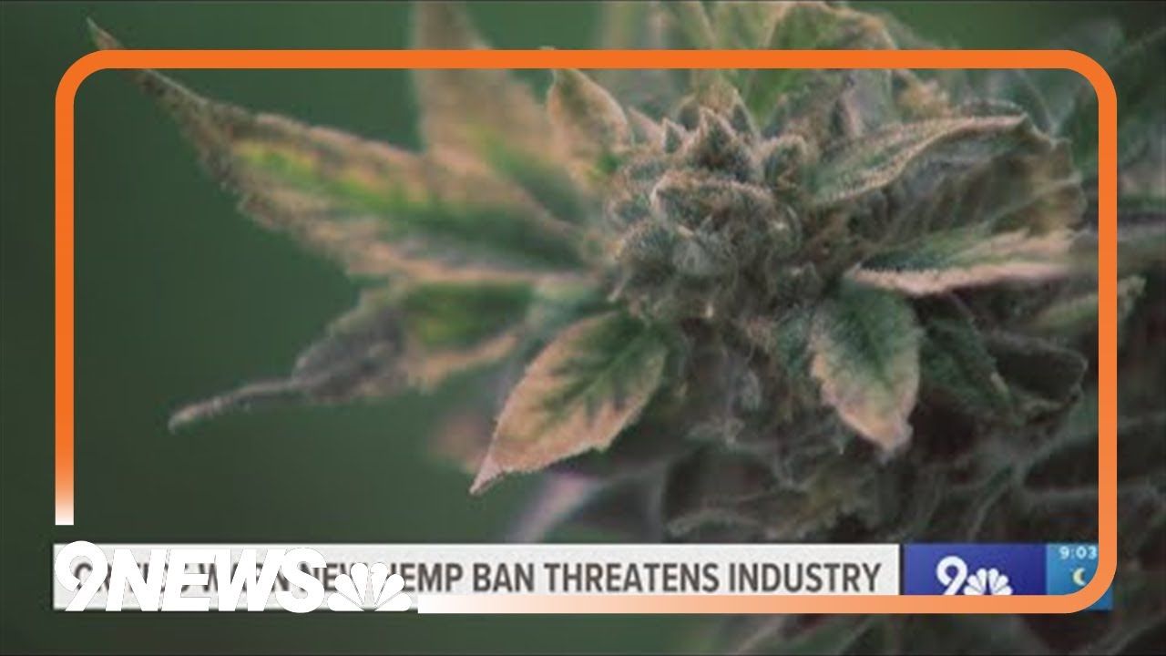 1763298632 maxresdefault.jpg