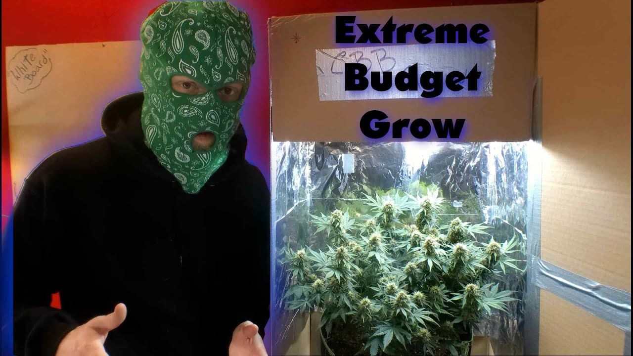 1772953434 maxresdefault.jpg