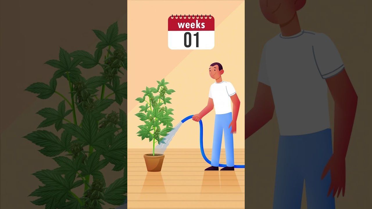 1761827106 maxresdefault.jpg