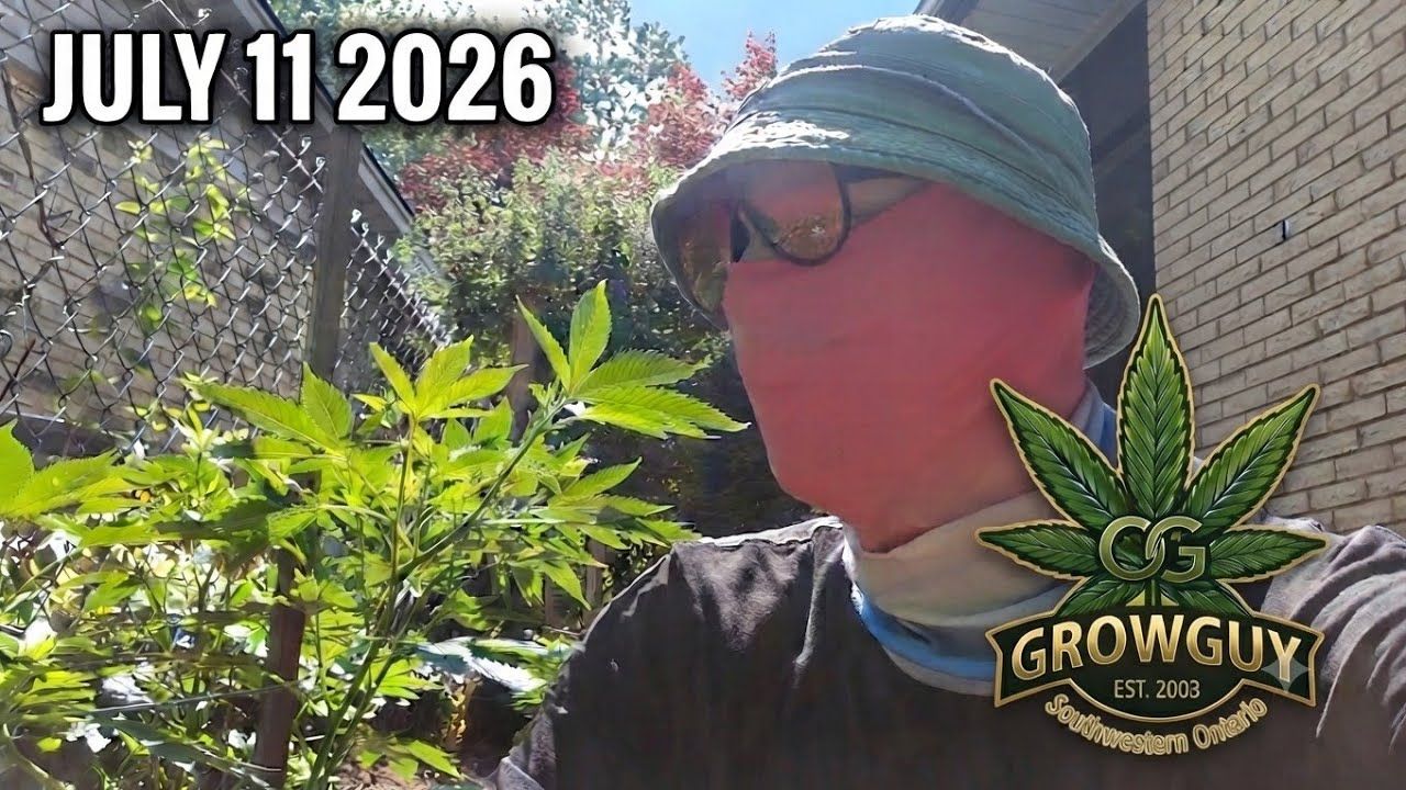 1784021215 maxresdefault.jpg