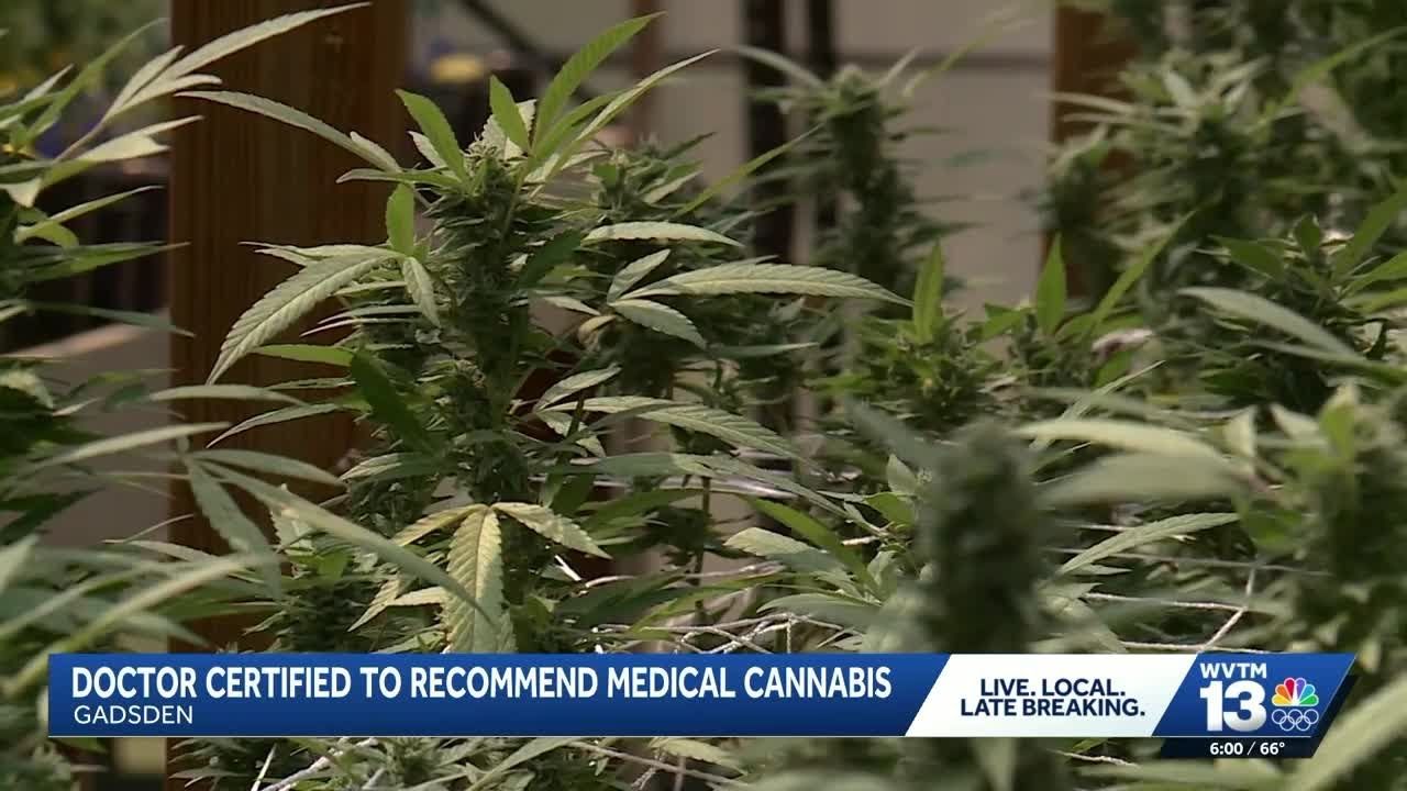 Five alabama physicians now certified to recommend medical cannabis to.jpg