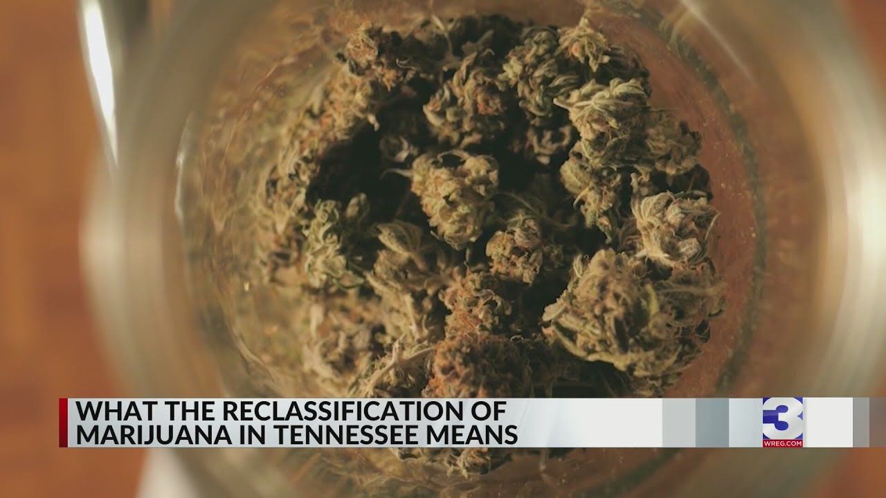 What the reclassification of marijuana in tn means.jpg