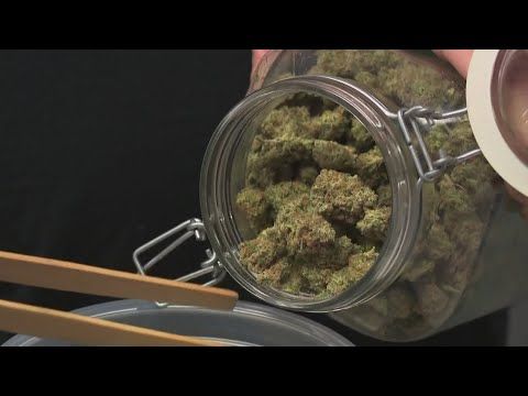 1767976565 hqdefault.jpg