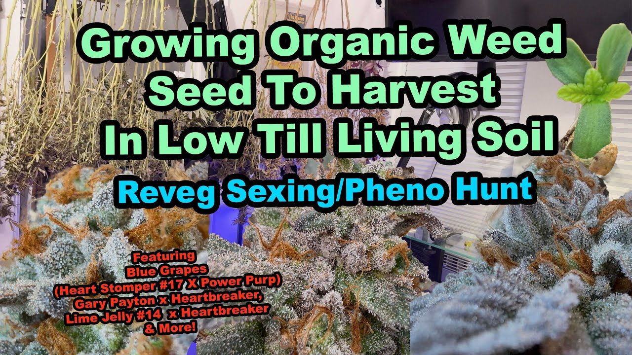 1761047898 maxresdefault.jpg