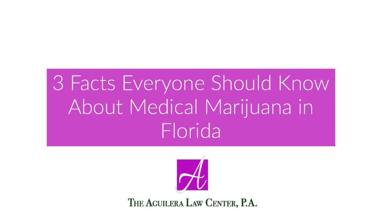 1764298802 maxresdefault.jpg