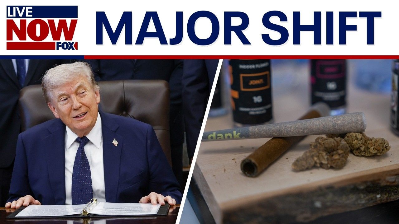 Major shift on marijuana trump reclassifies cannabis as lower risk drug.jpg