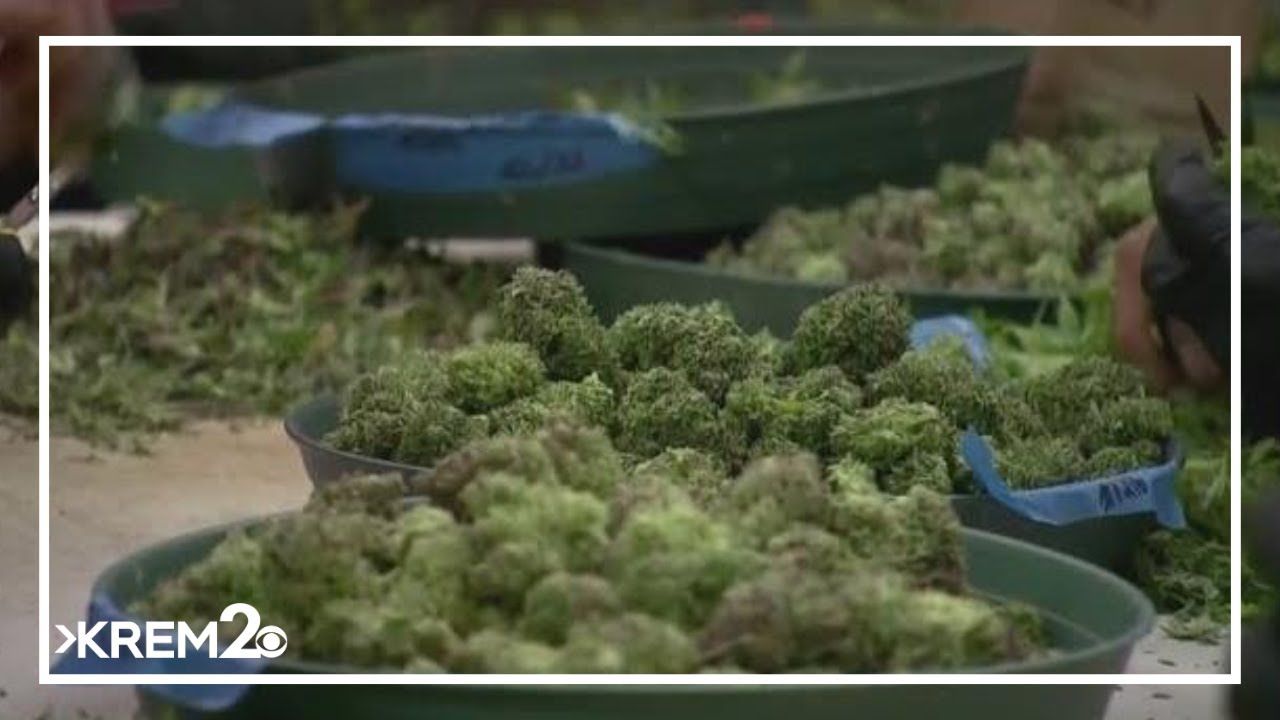 1767673633 maxresdefault.jpg