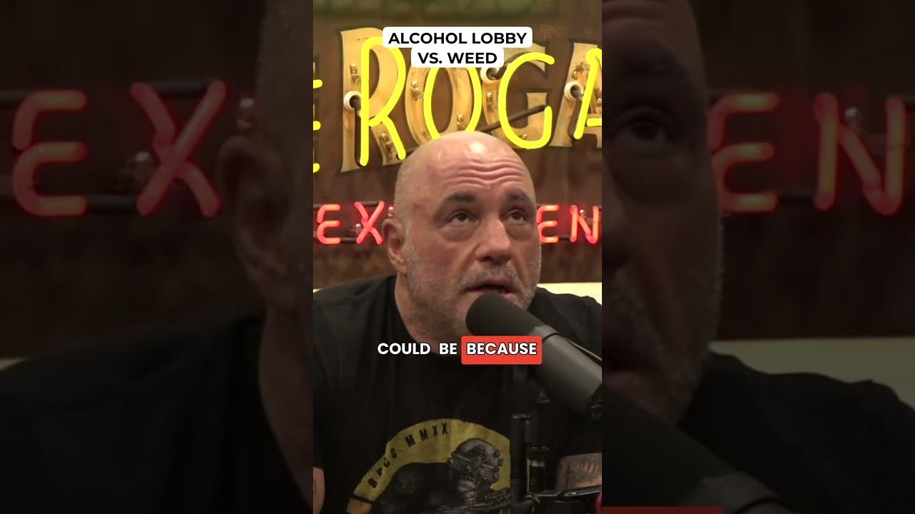 1763779768 maxresdefault.jpg