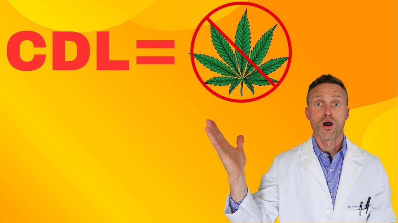 1789005542 maxresdefault.jpg