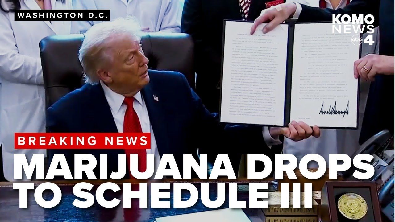Breaking trump signs executive order to reclassify downgrade marijuana into.jpg