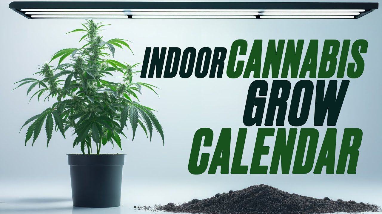 1763082475 maxresdefault.jpg