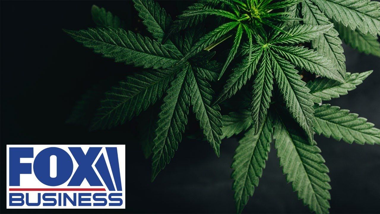 What reclassifying marijuana as a schedule iii drug could mean.jpg