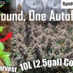 1762519504 maxresdefault.jpg