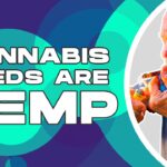 1762649455 maxresdefault.jpg