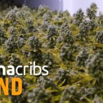 1762691930 maxresdefault.jpg