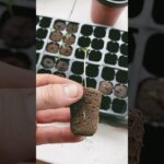 1762865818 maxresdefault.jpg