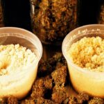 1763779504 maxresdefault.jpg