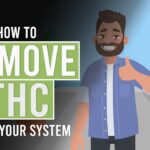 1764082634 maxresdefault.jpg