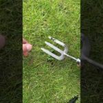 1764169137 hqdefault.jpg