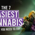 1764255706 maxresdefault.jpg