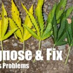 1764292637 maxresdefault.jpg