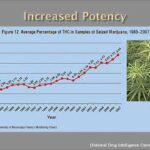 1765120793 maxresdefault.jpg