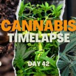 1765157874 maxresdefault.jpg