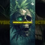 1765466872 maxresdefault.jpg