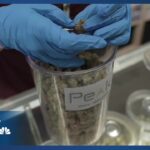 1765726669 maxresdefault.jpg