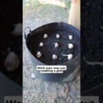 1766202836 maxresdefault.jpg