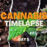 1766591922 maxresdefault.jpg