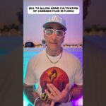 Florida marijuana home grow bill 2026 sb776.jpg