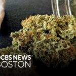 Law enforcement group alleges fraud thc inflation in mass cannabis.jpg