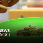 Medical marijuana can curb opioid use study finds health.jpg