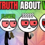 1768236083 maxresdefault.jpg