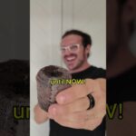 1768841763 maxresdefault.jpg