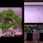 1768964946 maxresdefault.jpg