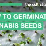 1769187994 maxresdefault.jpg