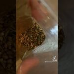 1769317862 maxresdefault.jpg