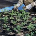 1769361312 maxresdefault.jpg