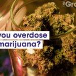 1769534465 maxresdefault.jpg