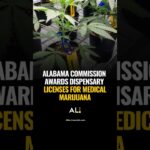Alabama commission awards dispensary licenses for medical marijuana.jpg