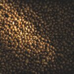 1770529220 maxresdefault.jpg