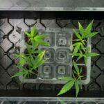 1770745544 maxresdefault.jpg