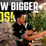 1770998276 maxresdefault.jpg