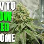 1771092313 maxresdefault.jpg