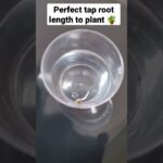 1771178450 maxresdefault.jpg